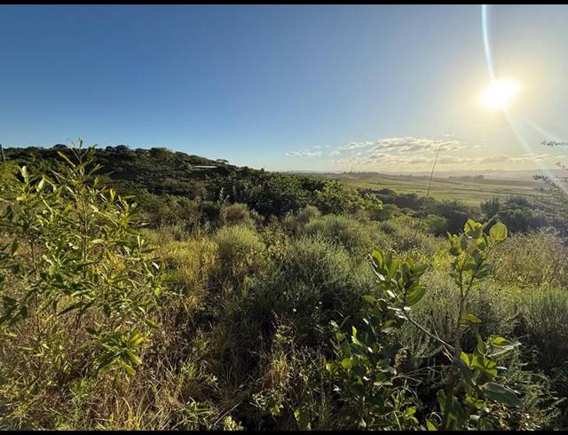 LAND FOR SALE IN ZINI RIVER ESTATE